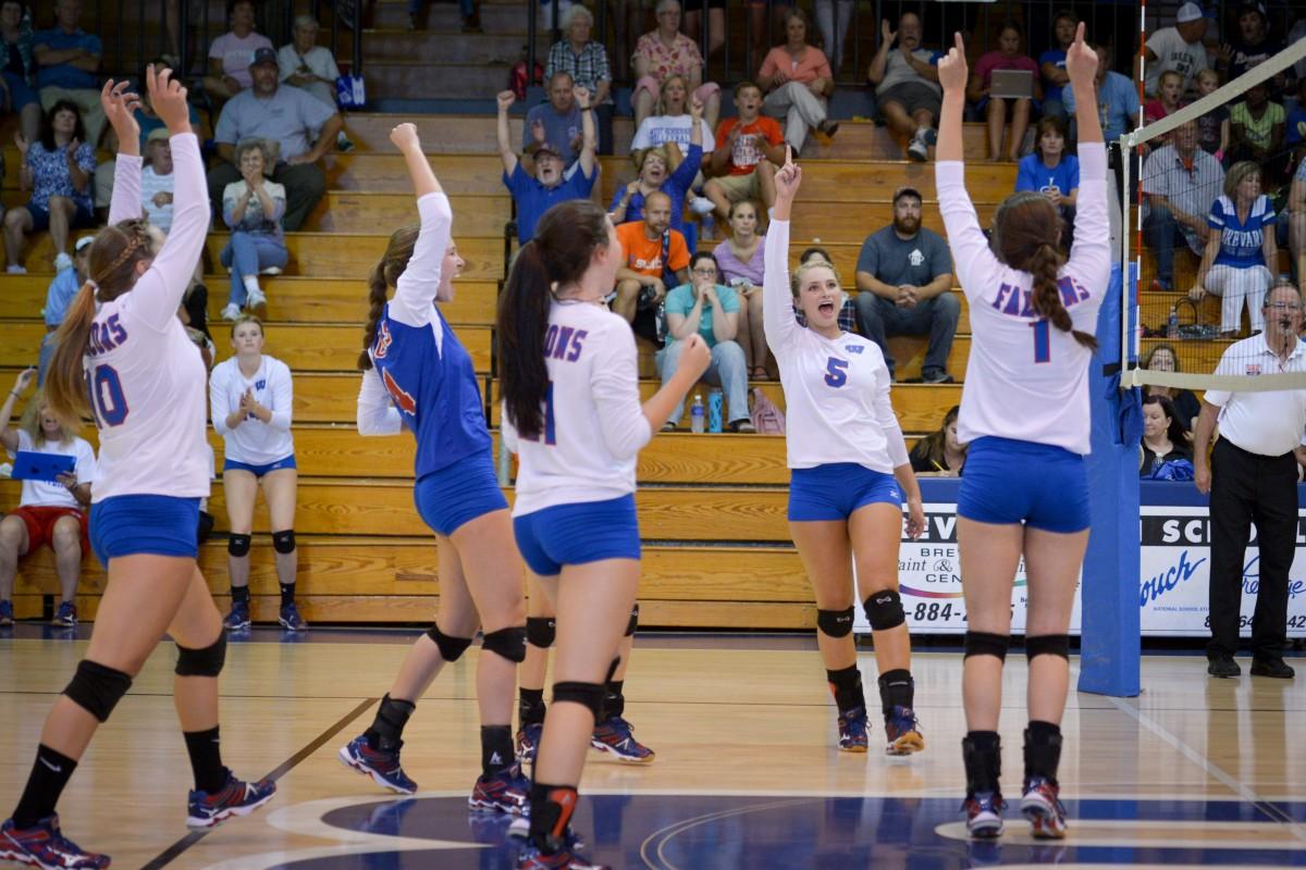 Volleyball team advances to state finals