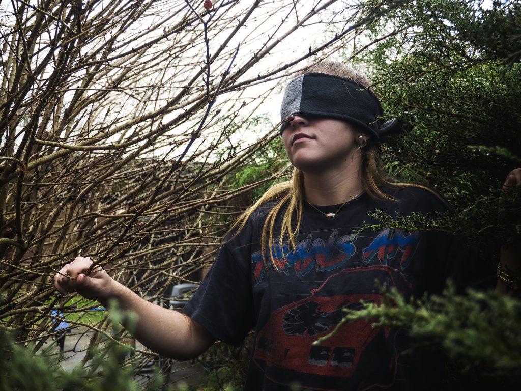 Review: "Bird Box"