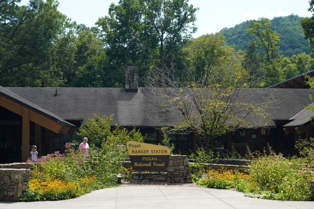 Discovering the wonders of nature at the Pisgah Visitor Center, where every trail leads to breathtaking views and every moment is filled with natural beauty. From the lush forests to the landscapes, making every adventure truly unforgettable! "Explore the only coastal national forest in the eastern U.S." (Photo by Chandler Franklin)