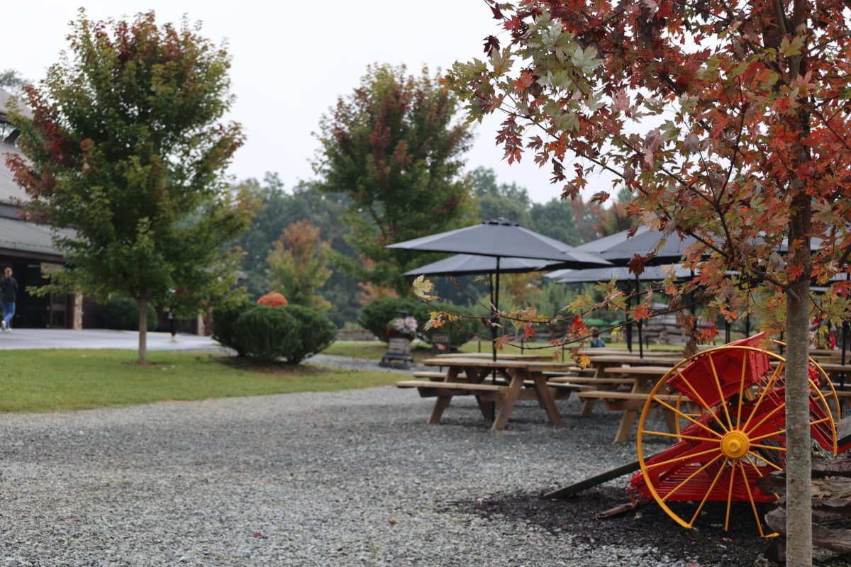 Jeter Mountain is located up in the beautiful Blue Ridge Mountains of Hendersonville, NC. “Our family has worked hard to create a farm experience ripe with opportunity for your family to build traditions and create fun, meaningful memories,” says the family owners of Jeter Mountain. Jeter Mountain is the perfect spot for picking up fruits, flowers, and tasty treats of all kinds. Photo by Alex Pickard